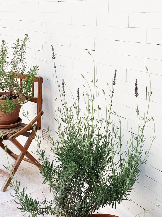 Tap Apartments - In Independent House With Private Garden アルゲーロ エクステリア 写真